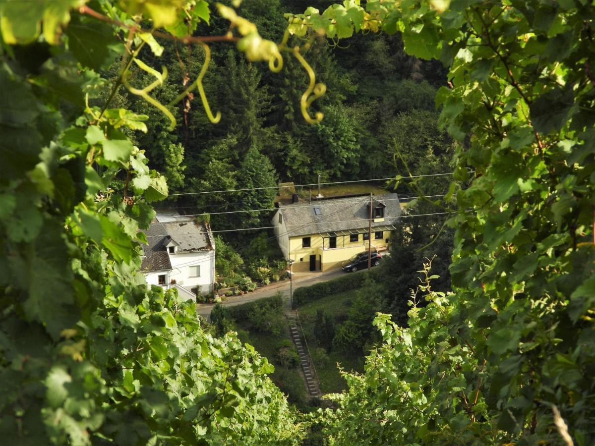 Ferienhaus Meijer Briedel Exterior foto
